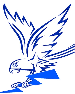 Air Force Falcons Football Usaf Academy