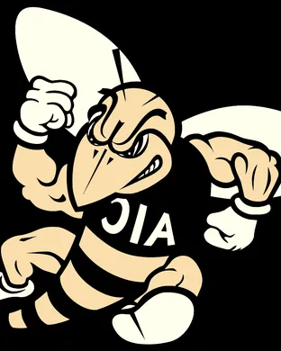 American International Yellow Jackets New Britain
