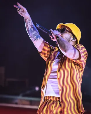 Anderson Paak Foxborough