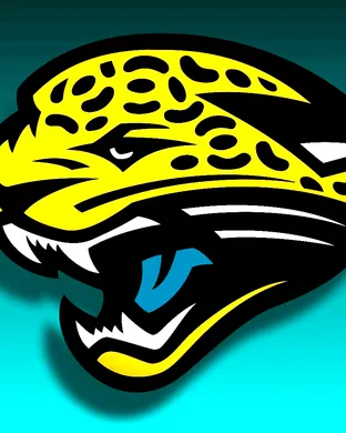 Jacksonville Jaguars vs. New England Patriots