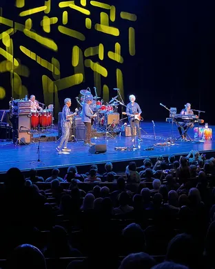 Little Feat Webster