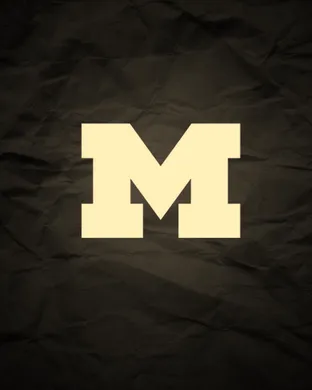 Michigan Wolverines Ann Arbor