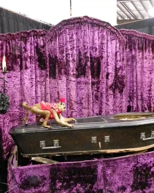 Oddities and Curiosities Expo Providence