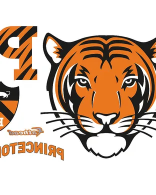 Princeton Tigers New Haven