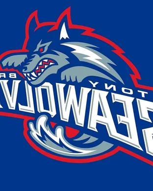 Stony Brook Seawolves Stony Brook
