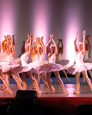 Swan Lake: Symphony of Lights