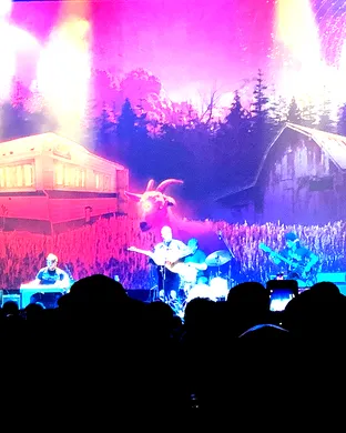 Tyler Childers Mansfield