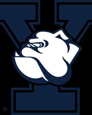 Yale Bulldogs Football New Haven