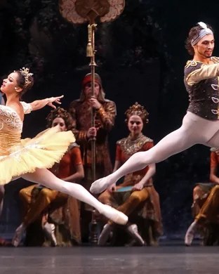 New Haven Ballet: The Nutcracker