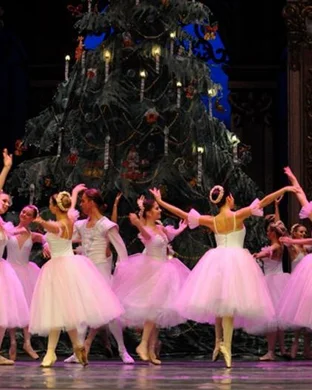 Nutmeg Ballet Hartford